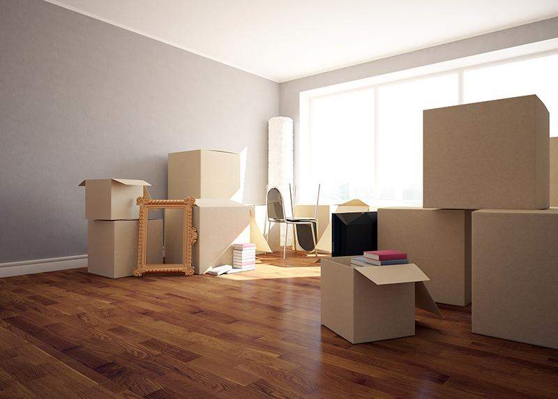 Move In Move Out Cleaning